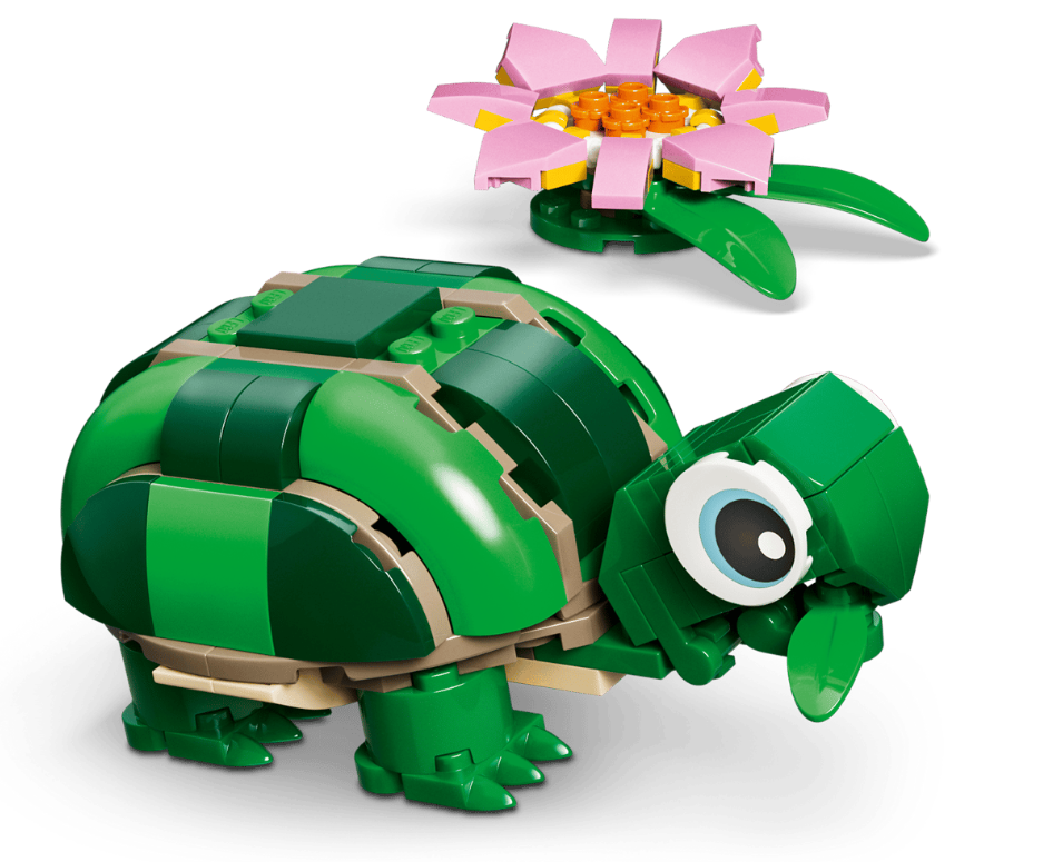 TORTUGA C/FLOR DE NENUFAR