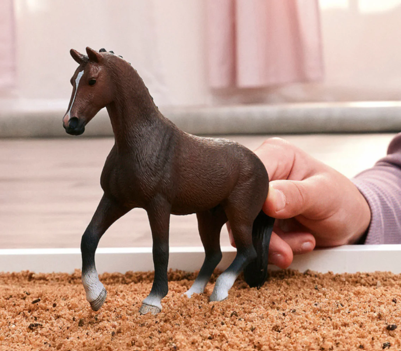 CABALLO HOLANDES KWPN