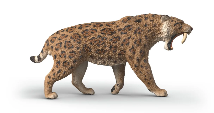 TIGRE  DIENTE DE SABLE