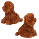 PELUCHE PERRO TEDDY MARRON
