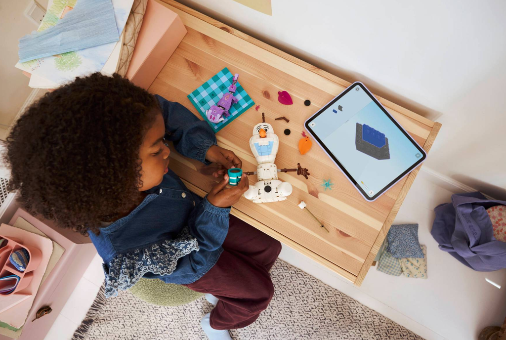 DIVERTIDO PICNIC OLAF Y BRUNI