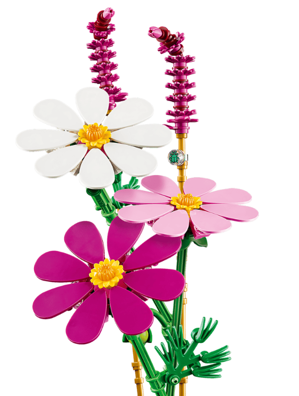 FLORES COSMOS