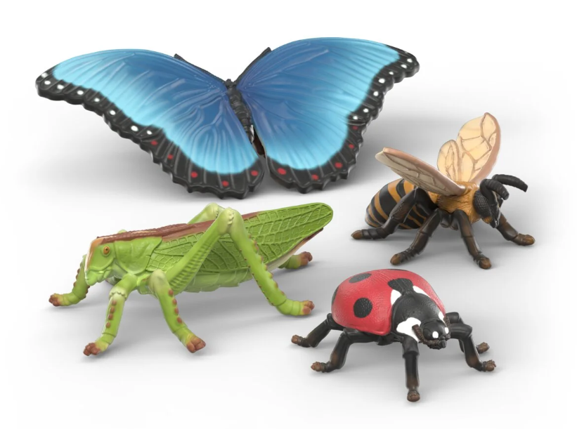 SET DESCUBRIMIENTO INSECTOS
