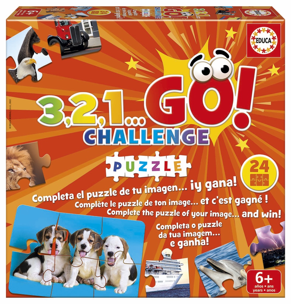 3.2.1. GO CHALLENGE PUZZLE
