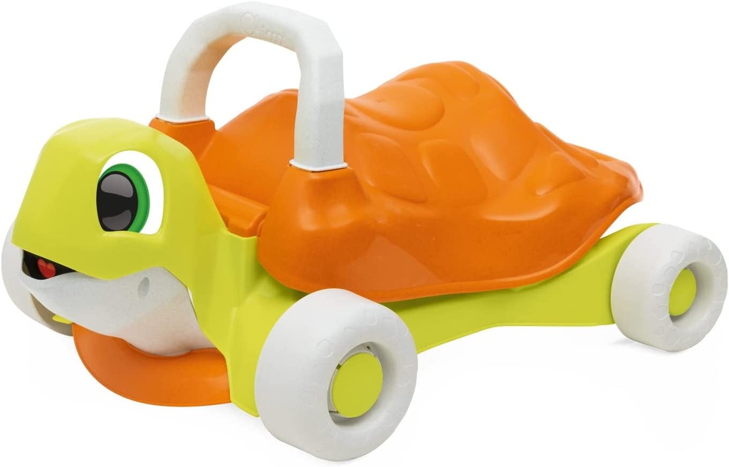 TORTUGA PRIMEROS PASOS