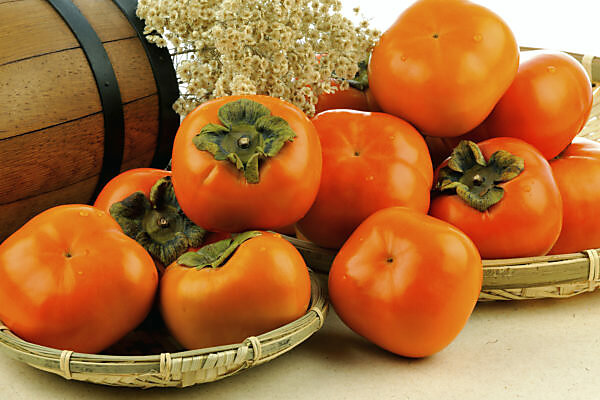 CHANCLAS BARÇA T.30 A 37