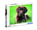 PUZ. 500 PERRITO CHOCOLATE