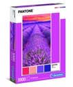 PUZ.1000 PANTONE-VIOLETA