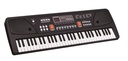 ORGANO 61 TECLAS+MICRO
