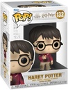HARRY POTTER POP WITH STONE