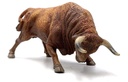 TORO COLORADO EMBISTIENDO