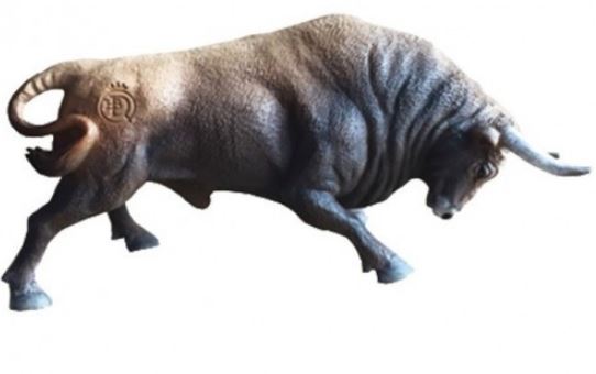 TORO CASTAÑO EMBISTIENDO