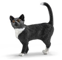 GATO DE PIE