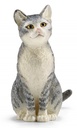 GATO SENTADO