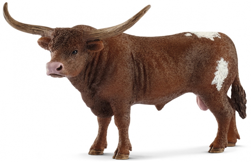 TORO TEJANO LONGHORN