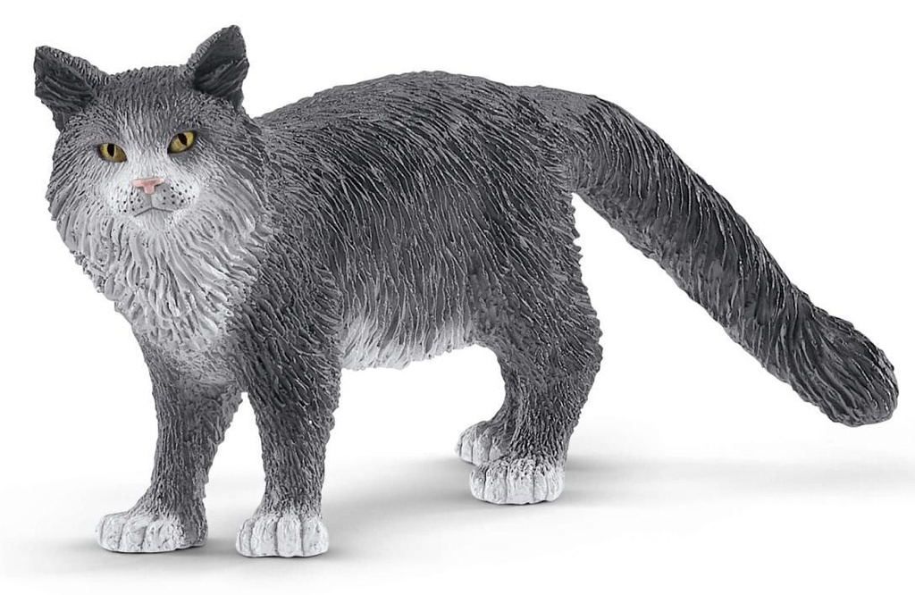 GATO MAINE COON