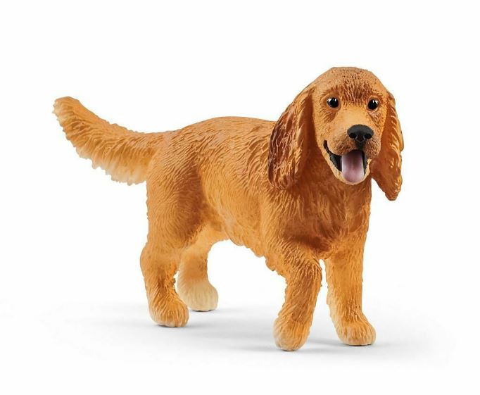 COCKER SPANIEL INGLES