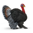 PAVO - Farm