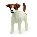 JACK RUSSELL TERRIER