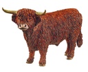 TORO DE LAS TIERRAS ALTAS