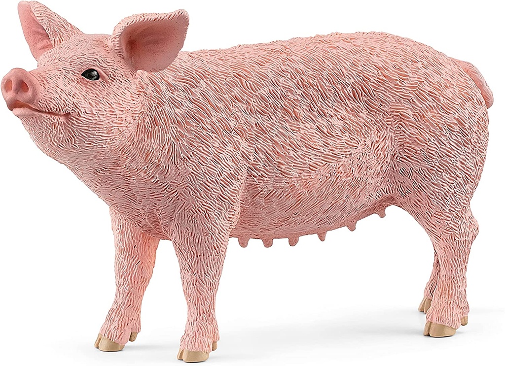 CERDO