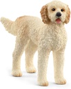 PERRO GOLDENDOODLE