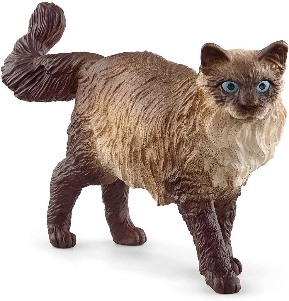 GATO RAGDOLL
