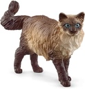 GATO RAGDOLL