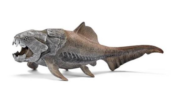 DUNKLEOSTEUS