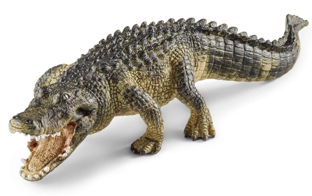 CAIMAN