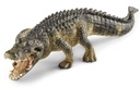 CAIMAN