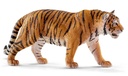 TIGRE
