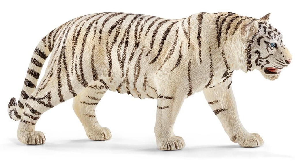 TIGRE BLANCO