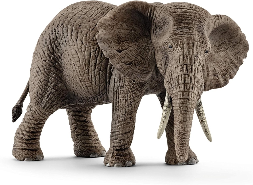 ELEFANTE AFRICANO HEMBRA