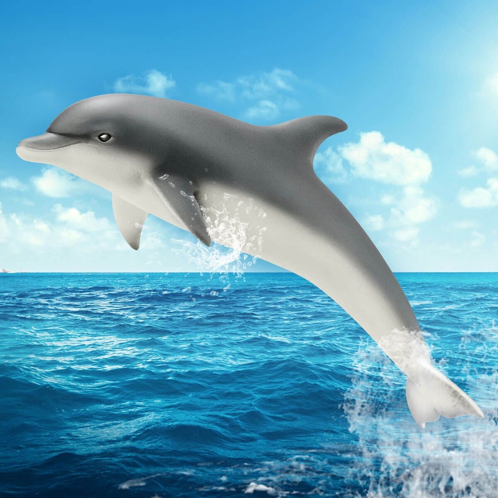 DELFIN