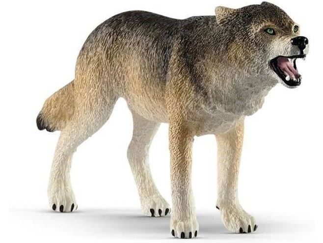 LOBO