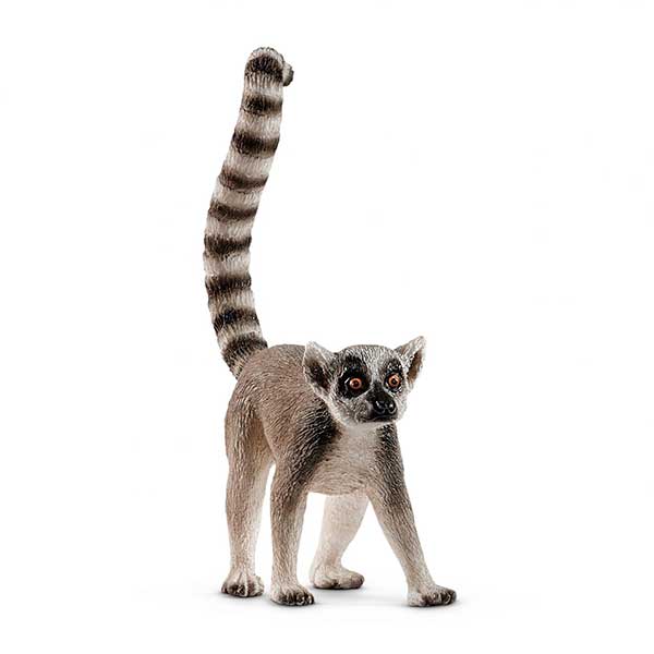 LEMUR COLA ANILLADA