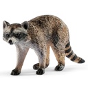 MAPACHE