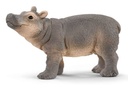 HIPOPOTAMO CRIA
