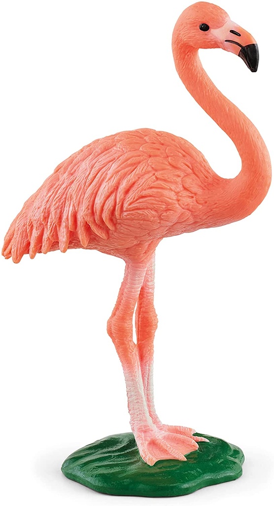FLAMENCO