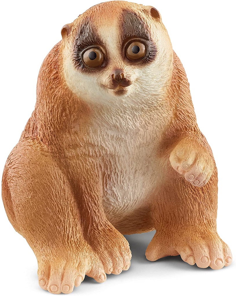 LORIS PEREZOSO