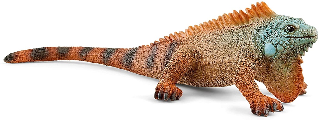IGUANA