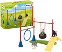 DIVERSION CANINA