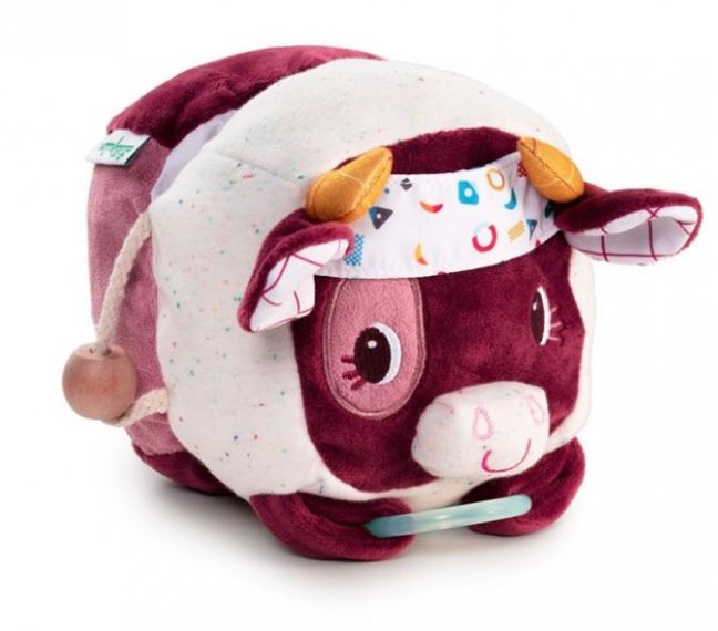 ROSALIE VACA DESCUBRIMIENTOS