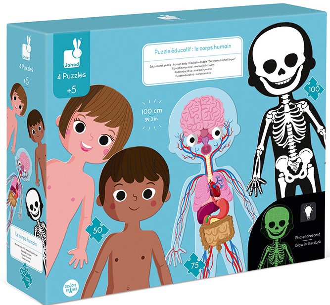 PUZZLE EDUC. CUERPO HUMANO