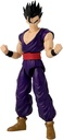 DRAGON STARS-GOHAN