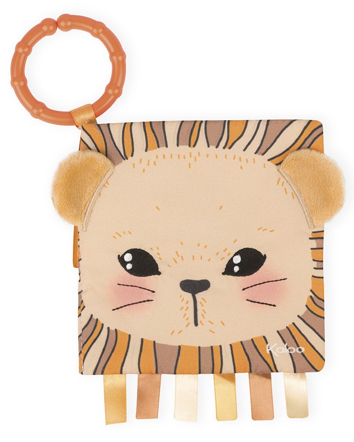 LIBRO ACTIVIDADES LEON CURIOSO