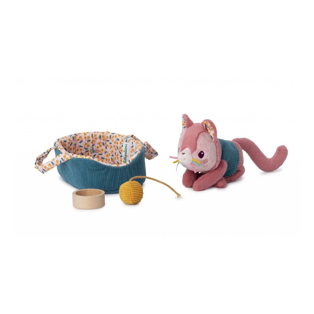 JEANNE EL GATO Y SU CESTA