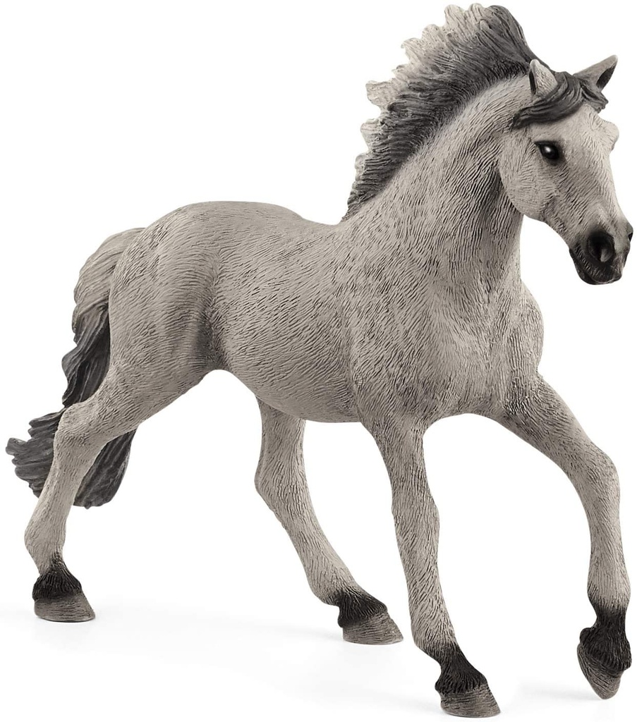 SEMENTAL SORRAIA MUSTANG