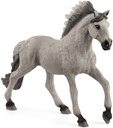 SEMENTAL SORRAIA MUSTANG
